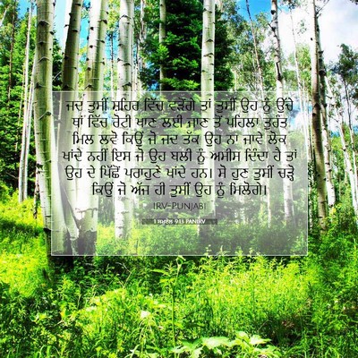 Picture 07 - 1 ਸਮੂਏਲ 9:13 PANIRV - ਜਦ ਤੁਸੀਂ ਸ਼ਹਿਰ - Bible Verse Picture