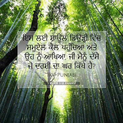 Picture 07 - 1 ਸਮੂਏਲ 9:18 PANIRV - ਇਸ ਲਈ ਸ਼ਾਊਲ - Bible Verse Picture