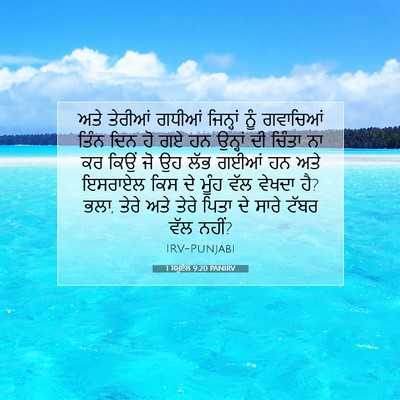 Picture 07 - 1 ਸਮੂਏਲ 9:20 PANIRV - ਅਤੇ ਤੇਰੀਆਂ ਗਧੀਆਂ - Bible Verse Picture