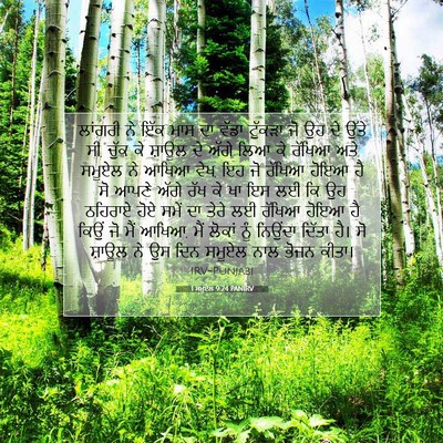 Picture 07 - 1 ਸਮੂਏਲ 9:24 PANIRV - ਲਾਂਗਰੀ ਨੇ ਇੱਕ ਮਾਸ - Bible Verse Picture