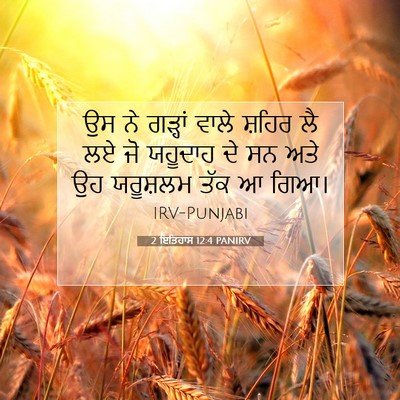 Picture 07 - 2 ਇਤਿਹਾਸ 12:4 PANIRV - ਉਸ ਨੇ ਗੜ੍ਹਾਂ ਵਾਲੇ - Bible Verse Picture
