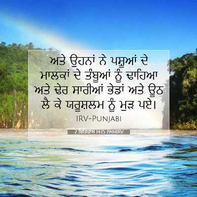 Picture 07 - 2 ਇਤਿਹਾਸ 14:15 PANIRV - ਅਤੇ ਉਹਨਾਂ ਨੇ - Bible Verse Picture