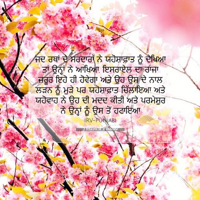 Picture 07 - 2 ਇਤਿਹਾਸ 18:31 PANIRV - ਜਦ ਰਥਾਂ ਦੇ ਸਰਦਾਰਾਂ - Bible Verse Picture