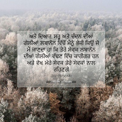 Picture 07 - 2 ਇਤਿਹਾਸ 2:8 PANIRV - ਅਤੇ ਦਿਆਰ, ਸਰੂ ਅਤੇ - Bible Verse Picture