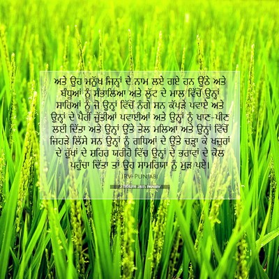 Picture 07 - 2 ਇਤਿਹਾਸ 28:15 PANIRV - ਅਤੇ ਉਹ ਮਨੁੱਖ - Bible Verse Picture