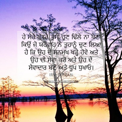 Picture 07 - 2 ਇਤਿਹਾਸ 29:11 PANIRV - ਹੇ ਮੇਰੇ ਪੁੱਤਰੋ, - Bible Verse Picture