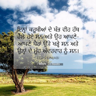 Picture 07 - 2 ਇਤਿਹਾਸ 3:13 PANIRV - ਇਨ੍ਹਾਂ ਕਰੂਬੀਆਂ ਦੇ - Bible Verse Picture