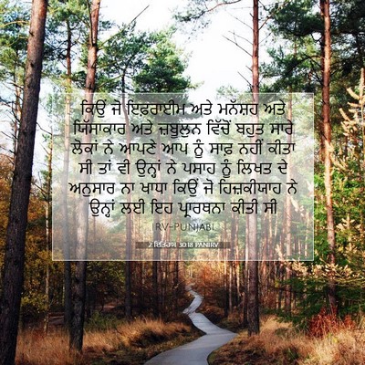 Picture 07 - 2 ਇਤਿਹਾਸ 30:18 PANIRV - ਕਿਉਂ ਜੋ ਇਫ਼ਰਾਈਮ - Bible Verse Picture