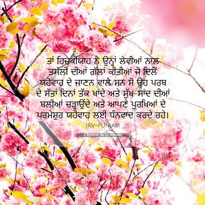 Picture 07 - 2 ਇਤਿਹਾਸ 30:22 PANIRV - ਤਾਂ ਹਿਜ਼ਕੀਯਾਹ ਨੇ - Bible Verse Picture