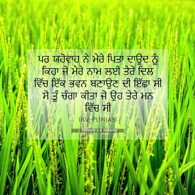Picture 07 - 2 ਇਤਿਹਾਸ 6:8 PANIRV - ਪਰ ਯਹੋਵਾਹ ਨੇ ਮੇਰੇ - Bible Verse Picture