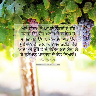 Picture 07 - 2 ਇਤਿਹਾਸ 8:18 PANIRV - ਅਤੇ ਹੀਰਾਮ ਨੇ ਆਪਣੇ - Bible Verse Picture