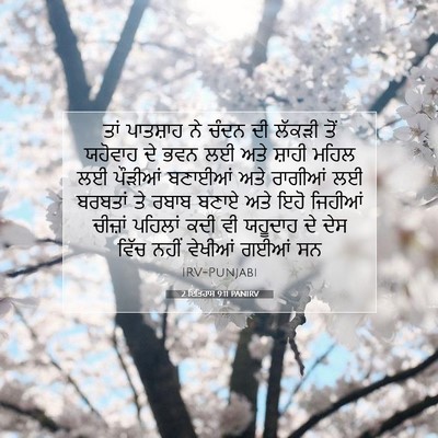 Picture 07 - 2 ਇਤਿਹਾਸ 9:11 PANIRV - ਤਾਂ ਪਾਤਸ਼ਾਹ ਨੇ - Bible Verse Picture