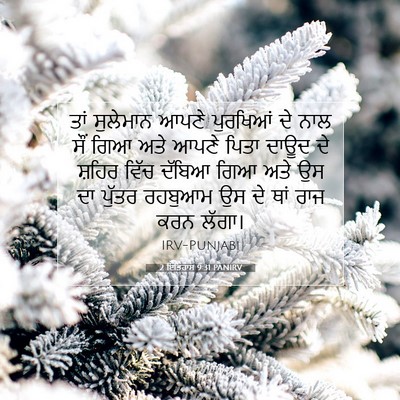 Picture 07 - 2 ਇਤਿਹਾਸ 9:31 PANIRV - ਤਾਂ ਸੁਲੇਮਾਨ ਆਪਣੇ - Bible Verse Picture