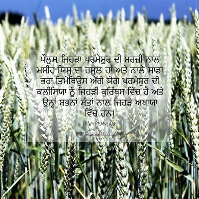 Picture 07 - 2 ਕੁਰਿੰਥੀਆਂ 1:1 PANIRV - ਪੌਲੁਸ, ਜਿਹੜਾ - Bible Verse Picture