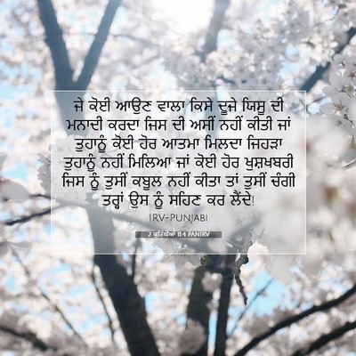 Picture 07 - 2 ਕੁਰਿੰਥੀਆਂ 11:4 PANIRV - ਜੇ ਕੋਈ ਆਉਣ ਵਾਲਾ - Bible Verse Picture