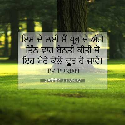 Picture 07 - 2 ਕੁਰਿੰਥੀਆਂ 12:8 PANIRV - ਇਸ ਦੇ ਲਈ ਮੈਂ ਪ੍ਰਭੂ - Bible Verse Picture