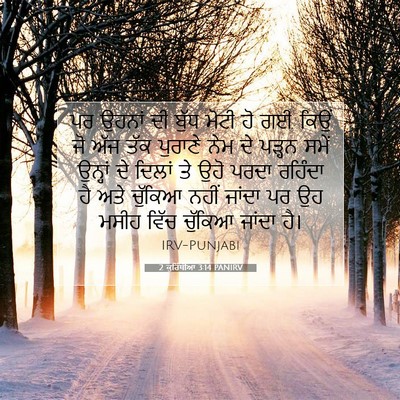 Picture 07 - 2 ਕੁਰਿੰਥੀਆਂ 3:14 PANIRV - ਪਰ ਉਹਨਾਂ ਦੀ ਬੁੱਧ - Bible Verse Picture