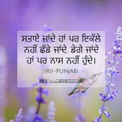Picture 07 - 2 ਕੁਰਿੰਥੀਆਂ 4:9 PANIRV - ਸਤਾਏ ਜਾਂਦੇ ਹਾਂ ਪਰ - Bible Verse Picture