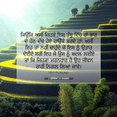 Picture 07 - 2 ਕੁਰਿੰਥੀਆਂ 5:4 PANIRV - ਕਿਉਂਕਿ ਅਸੀਂ ਜਿਹੜੇ - Bible Verse Picture