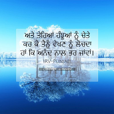 Picture 07 - 2 ਤਿਮੋਥਿਉਸ 1:4 PANIRV - ਅਤੇ ਤੇਰਿਆਂ ਹੰਝੂਆਂ - Bible Verse Picture