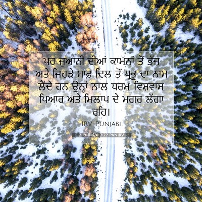 Picture 07 - 2 ਤਿਮੋਥਿਉਸ 2:22 PANIRV - ਪਰ ਜੁਆਨੀ ਦੀਆਂ - Bible Verse Picture