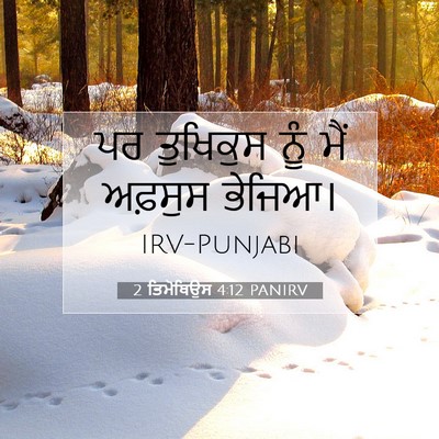 Picture 07 - 2 ਤਿਮੋਥਿਉਸ 4:12 PANIRV - ਪਰ ਤੁਖਿਕੁਸ ਨੂੰ ਮੈਂ - Bible Verse Picture