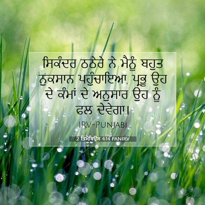 Picture 07 - 2 ਤਿਮੋਥਿਉਸ 4:14 PANIRV - ਸਿਕੰਦਰ ਠਠੇਰੇ ਨੇ - Bible Verse Picture