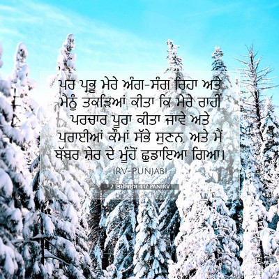 Picture 07 - 2 ਤਿਮੋਥਿਉਸ 4:17 PANIRV - ਪਰ ਪ੍ਰਭੂ ਮੇਰੇ - Bible Verse Picture