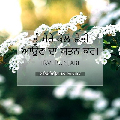 Picture 07 - 2 ਤਿਮੋਥਿਉਸ 4:9 PANIRV - ਤੂੰ ਮੇਰੇ ਕੋਲ ਛੇਤੀ - Bible Verse Picture