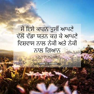 Picture 07 - 2 ਪਤਰਸ 1:5 PANIRV - ਸੋ ਇਸੇ ਕਾਰਨ ਤੁਸੀਂ - Bible Verse Picture