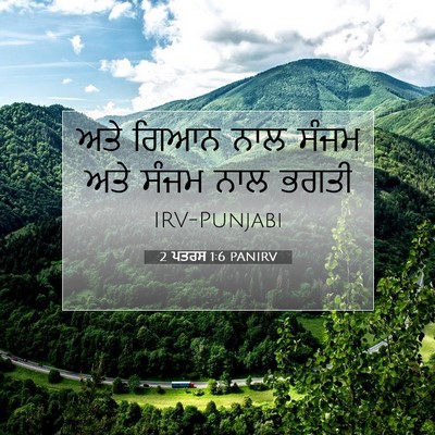 Picture 07 - 2 ਪਤਰਸ 1:6 PANIRV - ਅਤੇ ਗਿਆਨ ਨਾਲ ਸੰਜਮ - Bible Verse Picture