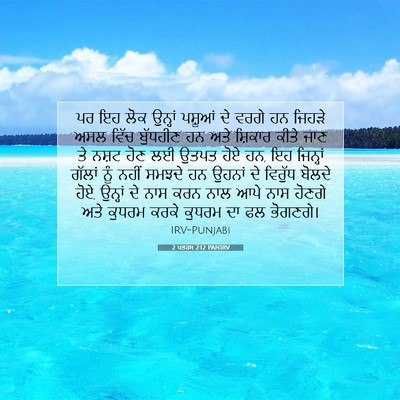 Picture 07 - 2 ਪਤਰਸ 2:12 PANIRV - ਪਰ ਇਹ ਲੋਕ ਉਨ੍ਹਾਂ - Bible Verse Picture