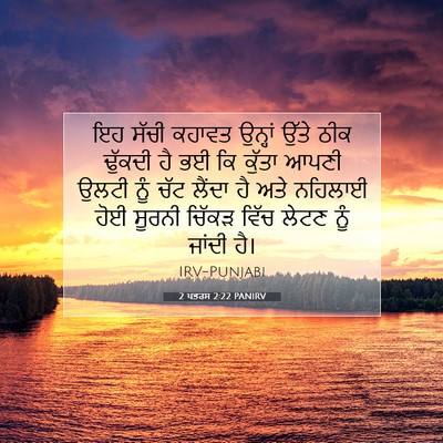 Picture 07 - 2 ਪਤਰਸ 2:22 PANIRV - ਇਹ ਸੱਚੀ ਕਹਾਵਤ - Bible Verse Picture