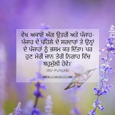 Picture 07 - 2 ਰਾਜਿਆਂ 1:14 PANIRV - ਵੇਖ, ਅਕਾਸ਼ੋਂ ਅੱਗ - Bible Verse Picture