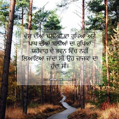 Picture 07 - 2 ਰਾਜਿਆਂ 12:16 PANIRV - ਦੋਸ਼ ਦੀਆਂ ਬਲੀਆਂ ਦਾ - Bible Verse Picture