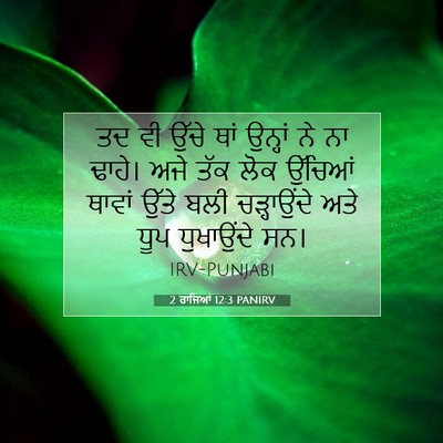 Picture 07 - 2 ਰਾਜਿਆਂ 12:3 PANIRV - ਤਦ ਵੀ ਉੱਚੇ ਥਾਂ - Bible Verse Picture