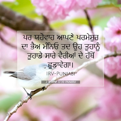 Picture 07 - 2 ਰਾਜਿਆਂ 17:39 PANIRV - ਪਰ ਯਹੋਵਾਹ ਆਪਣੇ - Bible Verse Picture
