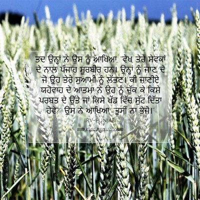 Picture 07 - 2 ਰਾਜਿਆਂ 2:16 PANIRV - ਤਦ ਉਨ੍ਹਾਂ ਨੇ ਉਸ ਨੂੰ - Bible Verse Picture