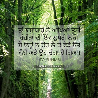 Picture 07 - 2 ਰਾਜਿਆਂ 20:7 PANIRV - ਤਾਂ ਯਸਾਯਾਹ ਨੇ ਆਖਿਆ, - Bible Verse Picture