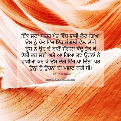 Picture 07 - 2 ਰਾਜਿਆਂ 4:39 PANIRV - ਇੱਕ ਜਣਾ ਬਾਹਰ ਖੇਤ - Bible Verse Picture