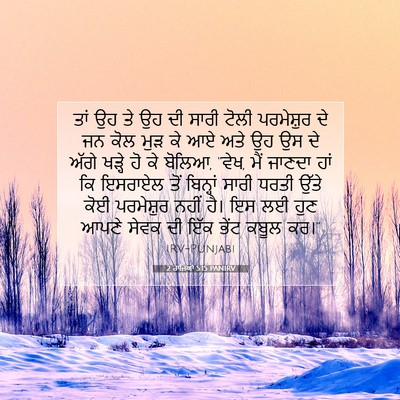 Picture 07 - 2 ਰਾਜਿਆਂ 5:15 PANIRV - ਤਾਂ ਉਹ ਤੇ ਉਹ ਦੀ - Bible Verse Picture