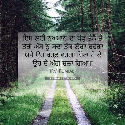 Picture 07 - 2 ਰਾਜਿਆਂ 5:27 PANIRV - ਇਸ ਲਈ ਨਅਮਾਨ ਦਾ - Bible Verse Picture