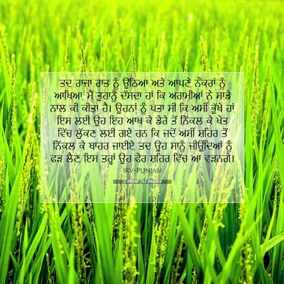 Picture 07 - 2 ਰਾਜਿਆਂ 7:12 PANIRV - ਤਦ ਰਾਜਾ ਰਾਤ ਨੂੰ - Bible Verse Picture