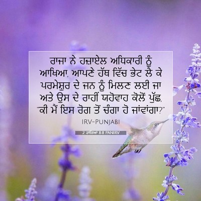Picture 07 - 2 ਰਾਜਿਆਂ 8:8 PANIRV - ਰਾਜਾ ਨੇ ਹਜ਼ਾਏਲ - Bible Verse Picture