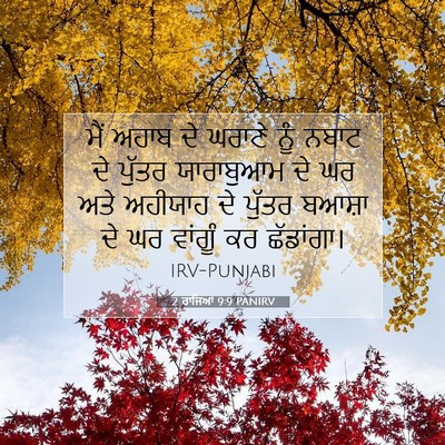 Picture 07 - 2 ਰਾਜਿਆਂ 9:9 PANIRV - ਮੈਂ ਅਹਾਬ ਦੇ ਘਰਾਣੇ - Bible Verse Picture
