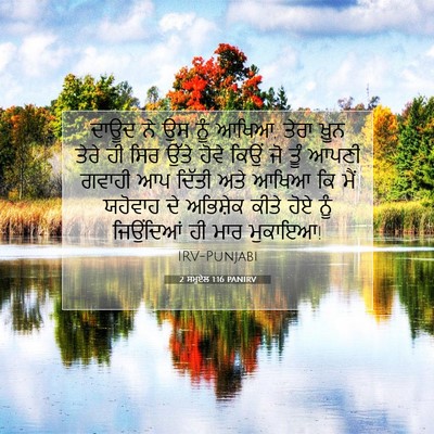 Picture 07 - 2 ਸਮੂਏਲ 1:16 PANIRV - ਦਾਊਦ ਨੇ ਉਸ ਨੂੰ - Bible Verse Picture