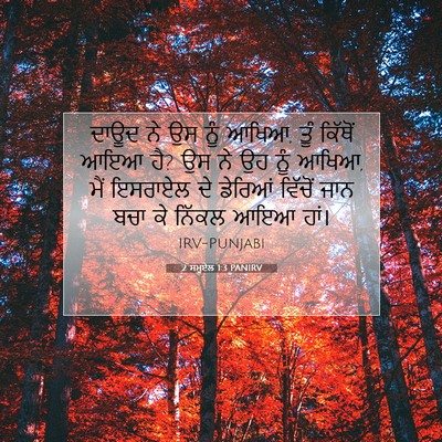 Picture 07 - 2 ਸਮੂਏਲ 1:3 PANIRV - ਦਾਊਦ ਨੇ ਉਸ ਨੂੰ - Bible Verse Picture