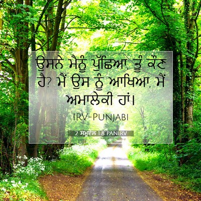 Picture 07 - 2 ਸਮੂਏਲ 1:8 PANIRV - ਉਸਨੇ ਮੈਨੂੰ ਪੁੱਛਿਆ, - Bible Verse Picture