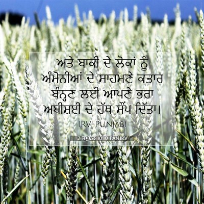 Picture 07 - 2 ਸਮੂਏਲ 10:10 PANIRV - ਅਤੇ ਬਾਕੀ ਦੇ ਲੋਕਾਂ - Bible Verse Picture