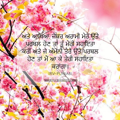 Picture 07 - 2 ਸਮੂਏਲ 10:11 PANIRV - ਅਤੇ ਆਖਿਆ, ਜੇਕਰ - Bible Verse Picture